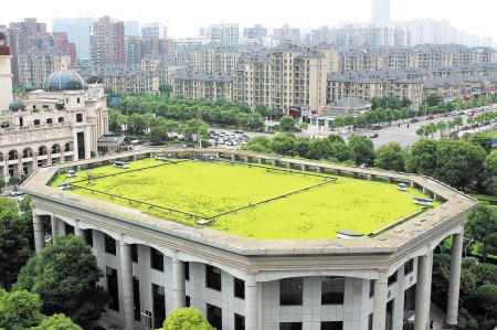 湖南草字頭生態環境建設有限公司,人造草坪假草皮,湖南雨水收集處理工藝